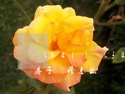 開(kāi)發(fā)商買(mǎi)的房子離婚怎么辦