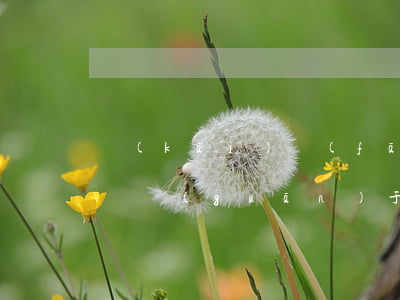 開(kāi)發(fā)商逾期交房政府起訴(關(guān)于開(kāi)發(fā)商逾期交房違約的起訴狀)
