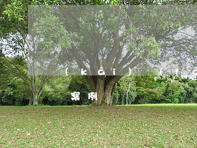 開(kāi)發(fā)商逾期交房起訴賠償案例