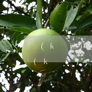 開(kāi)發(fā)商逾期怎么溝通(開(kāi)發(fā)商逾期怎么退房)