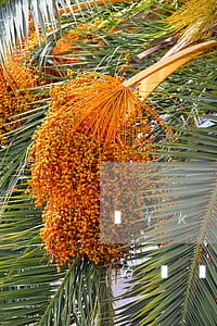 開(kāi)發(fā)商逾期辦證違約金的訴訟時(shí)效-開(kāi)發(fā)商逾期辦證違約金的訴訟時(shí)效是多久