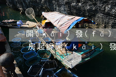 開(kāi)發(fā)商違約逾期交房退房起訴(開(kāi)發(fā)商違約 退房)