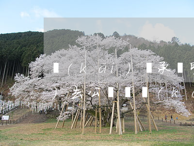 開(kāi)繼承證明需要什么手續(xù)(去公證處開(kāi)繼承證明需要什么手續(xù))
