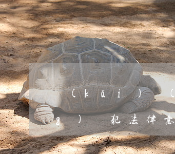 開(kāi)設(shè)賭場(chǎng)從犯法律意見(jiàn)書(關(guān)于開(kāi)設(shè)賭場(chǎng)罪的量刑意見(jiàn))