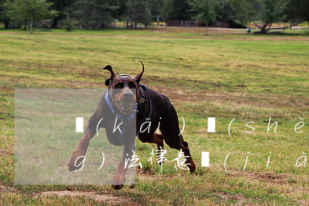 開(kāi)設(shè)賭場(chǎng)法律意見(jiàn)(開(kāi)設(shè)賭場(chǎng)法條)