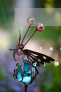 開(kāi)設(shè)賭場(chǎng)涉案12萬(wàn)(開(kāi)設(shè)賭場(chǎng)涉案金額千萬(wàn)怎么判)