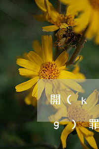 開(kāi)設(shè)賭場(chǎng)罪