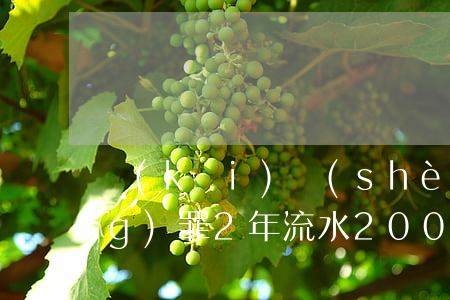 開(kāi)設(shè)賭場(chǎng)罪2年流水200萬(wàn)(開(kāi)設(shè)賭場(chǎng)罪2年流水200萬(wàn))
