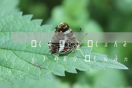 開(kāi)設(shè)賭場(chǎng)罪80萬(wàn)元能判多少年(開(kāi)設(shè)賭場(chǎng)罪80萬(wàn)元能判多少年)
