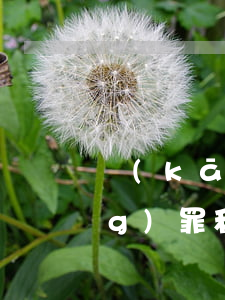 開(kāi)設(shè)賭場(chǎng)罪和經(jīng)營(yíng)棋牌室的區(qū)別