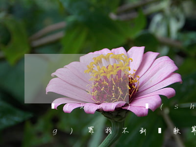 開(kāi)設(shè)賭場(chǎng)罪找不到贓款算洗錢罪嗎(涉嫌開(kāi)設(shè)賭場(chǎng)罪怎么判)