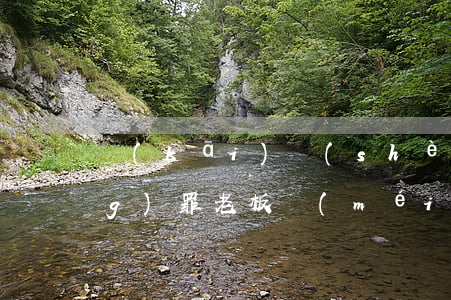 開(kāi)設(shè)賭場(chǎng)罪老板沒(méi)抓會(huì)不會(huì)判重(開(kāi)設(shè)賭場(chǎng)罪從犯怎么判)