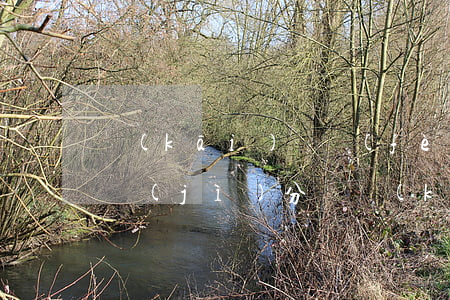 開(kāi)辦費(fèi)會(huì)計(jì)分錄(開(kāi)辦費(fèi)的會(huì)計(jì)分錄新的會(huì)計(jì)科目)