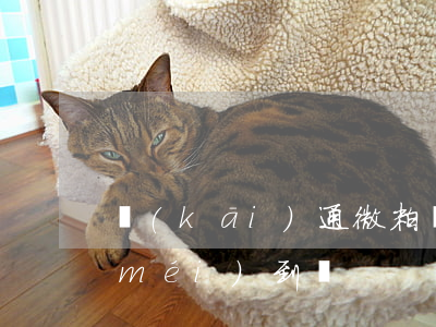 開(kāi)通微粒貸6.6元還款金沒(méi)到賬