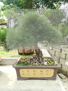 開(kāi)通白條信用優(yōu)惠后還用不用還款-開(kāi)通白條優(yōu)惠還要還嗎