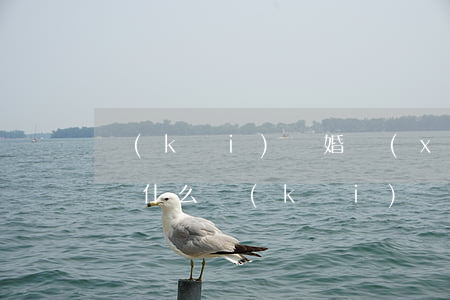 開(kāi)離婚協(xié)議證明需要帶什么(開(kāi)離婚協(xié)議都需要什么手續(xù))