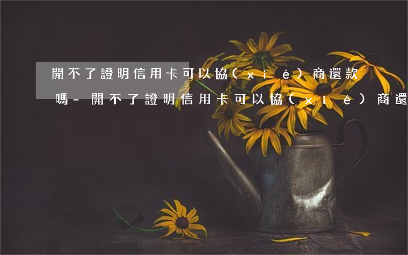 開不了證明信用卡可以協(xié)商還款嗎-開不了證明信用卡可以協(xié)商還款嗎怎么辦