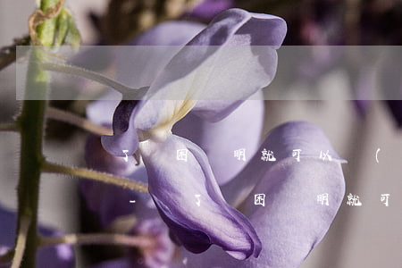 開了貧困證明就可以協(xié)商還款了嗎-開了貧困證明就可以協(xié)商還款了嗎怎么辦