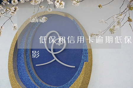 開低保和信用卡逾期(低保辦信用卡對低保有影響嗎)