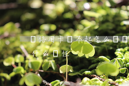 開信用卡還不起怎么辦(辦信用卡還不上錢負什么責任)