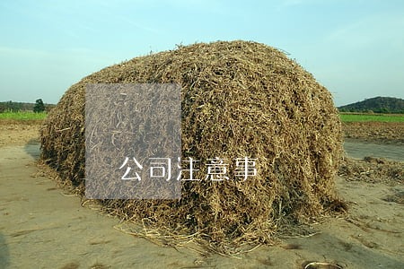 開公司注意事項