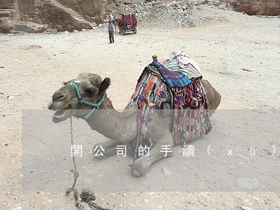開公司的手續(xù)是什么