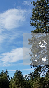 開公司破產(chǎn)后就可以免還債務(wù)嗎