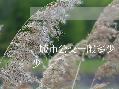開城市公交一般多少錢(開城市公交車月薪多少)