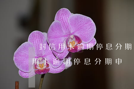 開封信用卡逾期停息分期申請條件-開封信用卡逾期停息分期申請條件是什么