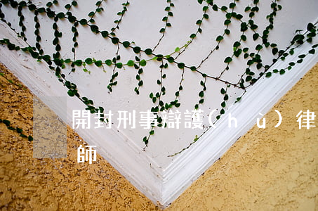 開封刑事辯護(hù)律師(開封最有名的律師)