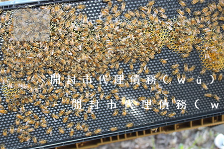 開封市代理債務(wù)違約糾紛律師問題-開封市代理債務(wù)違約糾紛律師問題處理