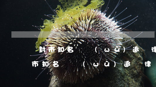 開封市知名債務(wù)追討律師推薦(開封市知名債務(wù)追討律師推薦)