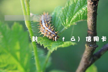 開封廣發(fā)信用卡逾期如何處理