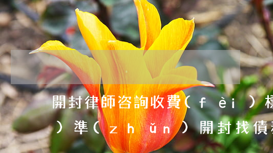 開封律師咨詢收費(fèi)標(biāo)準(zhǔn)（開封找債務(wù)律師）