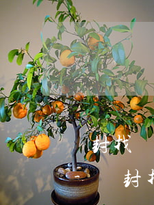 開封找債務(wù)清理律師咨詢熱線如何-開封找債務(wù)清理律師咨詢熱線如何投訴