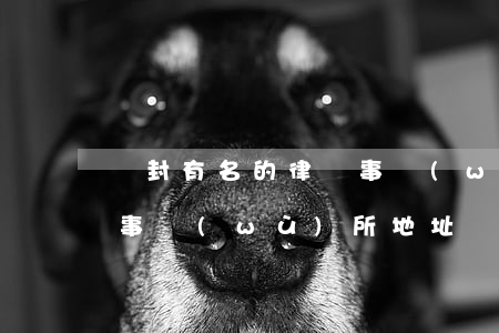開封有名的律師事務(wù)所(開封縣律師事務(wù)所地址)