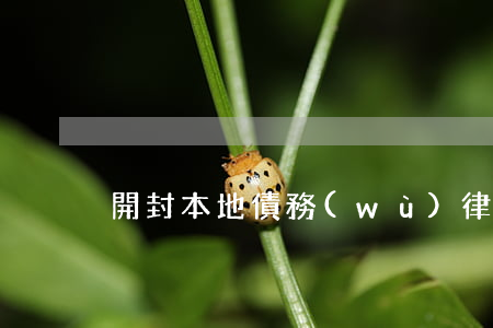 開封本地債務(wù)律師選誰(開封找律師)