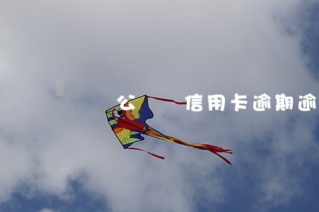 開對公賬戶信用卡逾期 逾期對公賬戶還款