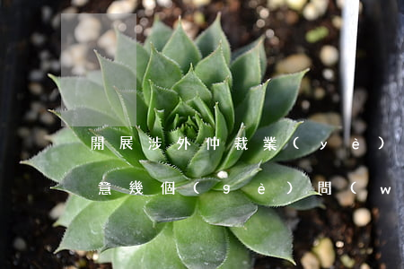 開展涉外仲裁業(yè)務(wù)需要注意幾個(gè)問(wèn)題
