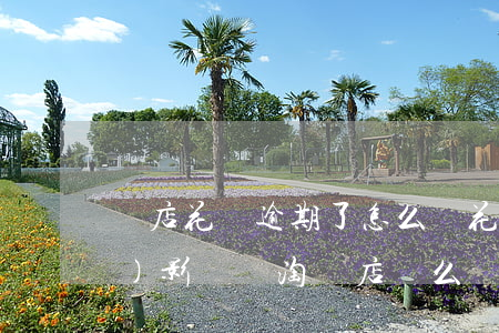 開店花唄逾期了怎么辦(花唄逾期會(huì)影響開淘寶店鋪么)