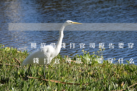 開庭借錢打官司原告要穿什么衣服-開庭借錢打官司原告要穿什么衣服呢
