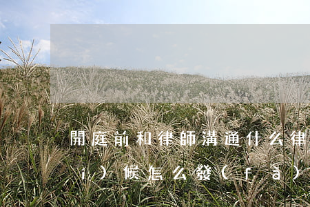 開庭前和律師溝通什么(律師開庭的時(shí)候怎么發(fā)言)