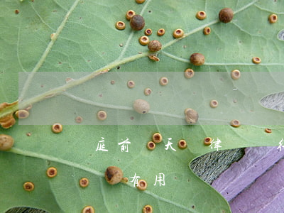 開庭前幾天請律師來得及嗎(開庭前一天請律師還有用嗎)