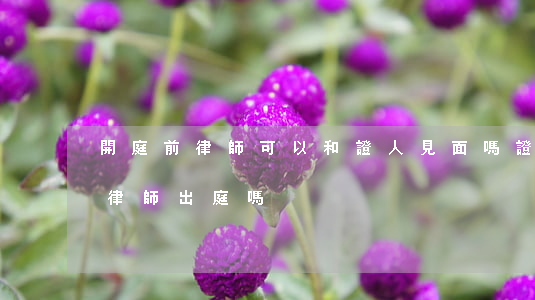 開庭前律師可以和證人見面嗎(證人可以委托律師出庭嗎)