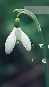 開庭前法院民事調解好可以減刑嗎(法院開庭后還可以調解嗎)