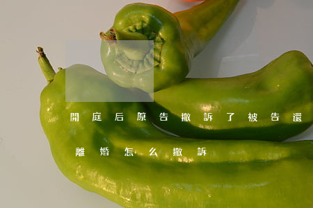 開庭后原告撤訴了被告還能離婚嗎(原告起訴離婚怎么撤訴)