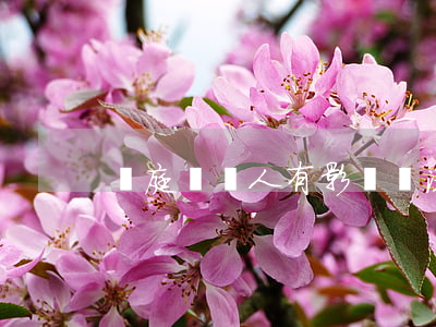 開庭對個人有影響嗎(法庭作證對本人的影響)