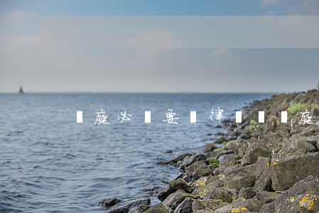 開庭必須要請律師嗎(開庭需要請律師嗎)
