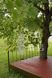 開庭時(shí)可以改訴訟狀嗎(起訴狀開庭后訴求能改嗎)