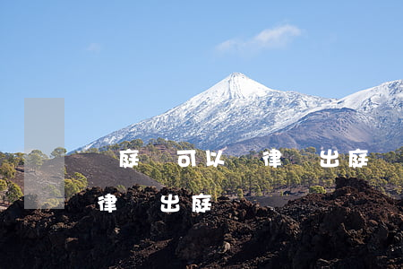 開庭時可以請律師出庭嗎(法院開庭可以委托律師出庭嗎)